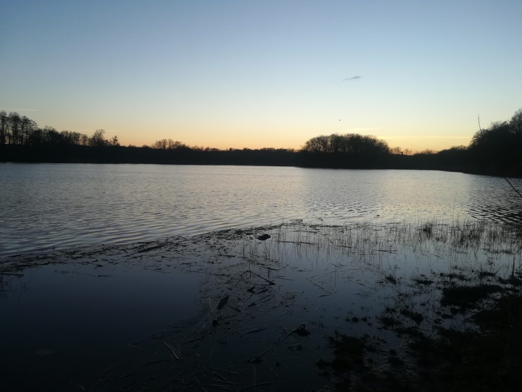 IMG 20201219 160821 1024x768